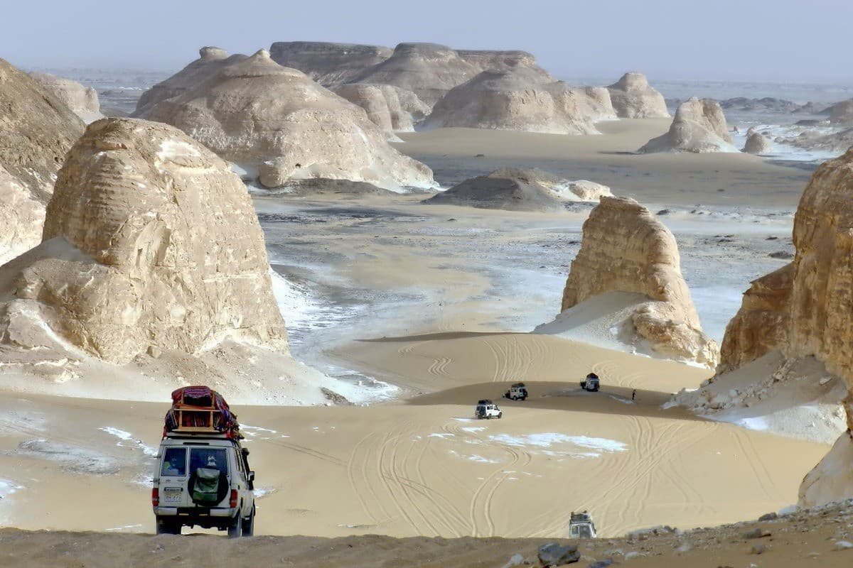 Bahariya Oasis and White Desert Day Trip