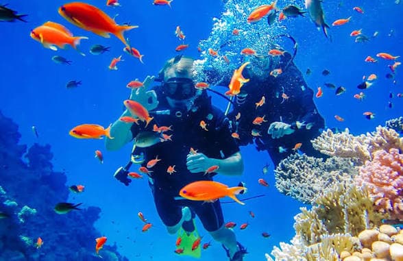 Hurghada Scuba Diving Trip: 2 Dives in the Red Sea