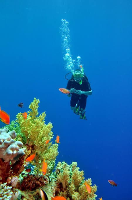 Hurghada Red Sea Diving Adventure – 2 Dives, Equipment, Lunch & Hotel Transfers