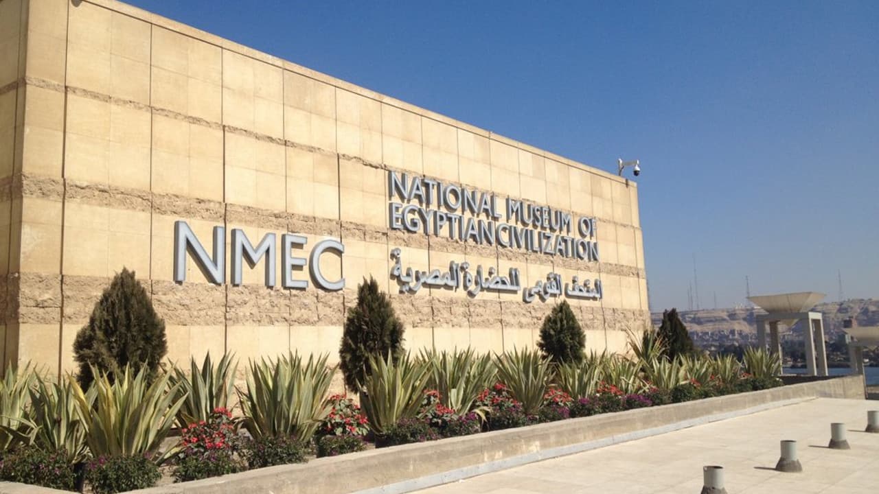 Cairo Private Museum Tour: Egyptian Museum & NMEC